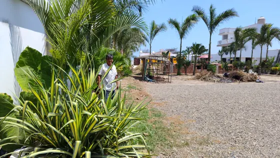 Fotografía 42 de La Ponderosa